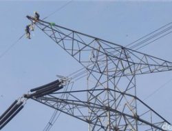 Viral Pria Panjat Kabel SUTET di Gatot Subroto Jaksel, Tersangkut Pohon dan Selamat