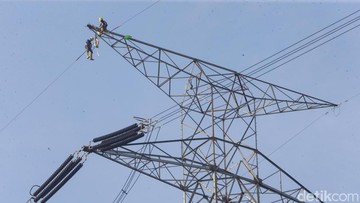 Viral Pria Panjat Kabel SUTET di Gatot Subroto Jaksel, Tersangkut Pohon dan Selamat