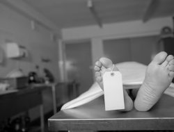 Kasus Malapraktik RSUD Depati Hamzah Pangkalpinang: Berkas Dinyatakan P21, Tersangka Segera Dilimpahkan ke Kejaksaan