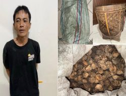 Polres OKU Selatan Tangkap PA, Tersangka Pencurian dengan Pemberatan di Pondok Petani