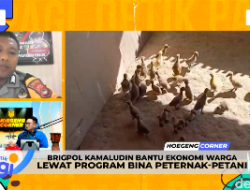 Bhabinkamtibmas Sumbawa Barat Bina 357 Peternak dan Petani, Putaran Ekonomi Rp 40 Juta/Bulan