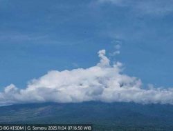 Gunung Semeru Erupsi 2025: Kolom Abu Capai 800 Meter, Ini Zona Bahaya dan Imbauan PVMBG