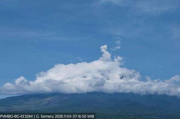 Gunung Semeru Erupsi 2025: Kolom Abu Capai 800 Meter, Ini Zona Bahaya dan Imbauan PVMBG