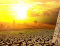 Update Titik Panas Lampung: BPBD Pastikan Kondisi Terkendali & Langkah Antisipasi