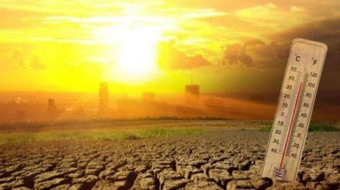 Update Titik Panas Lampung: BPBD Pastikan Kondisi Terkendali & Langkah Antisipasi