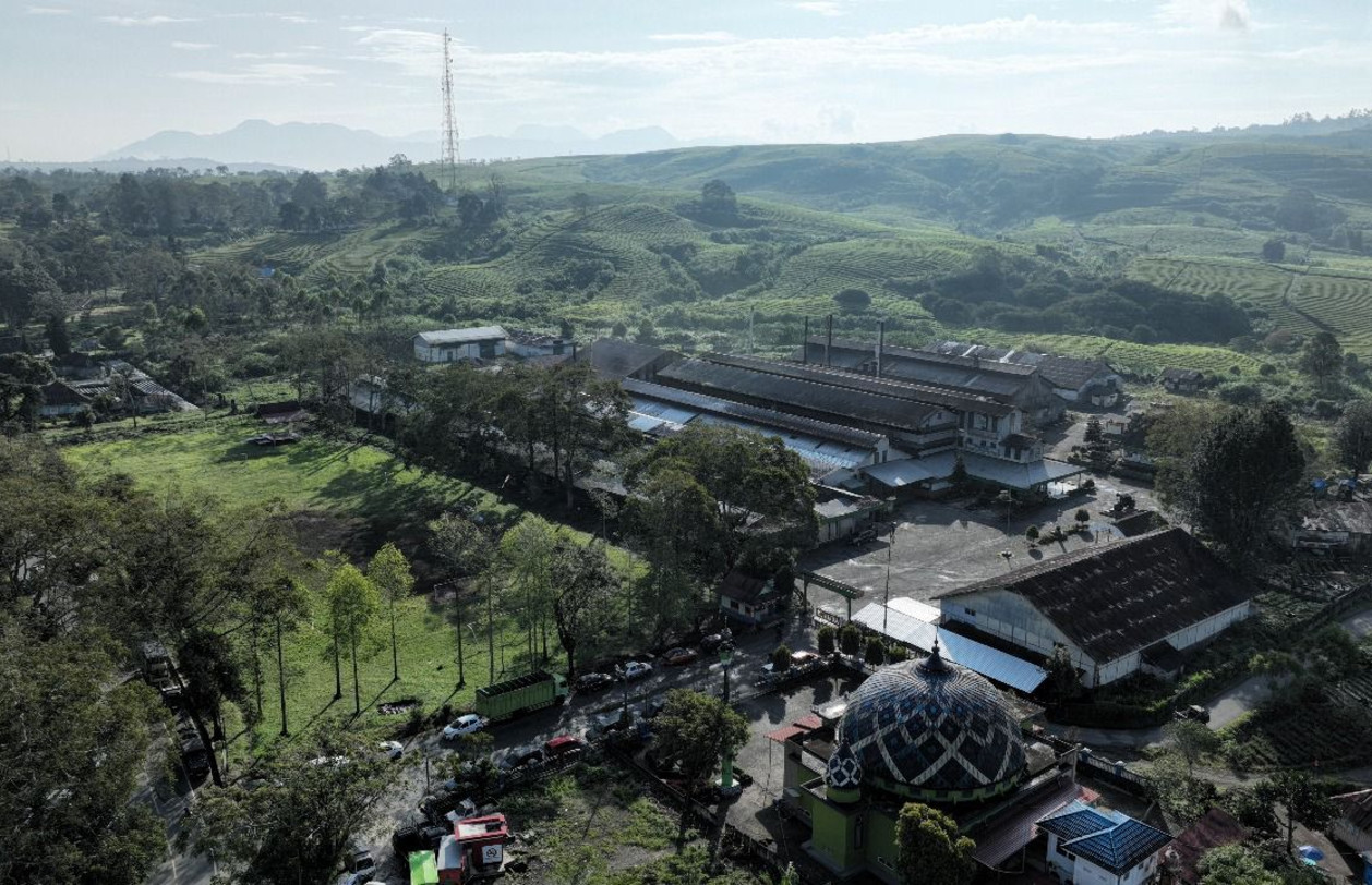 Warisan Budaya PalmCo: Dari Peninggalan Kolonial hingga Kebun Sawit Terbesar