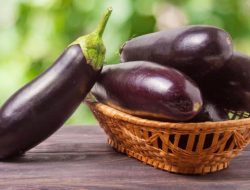 9 Manfaat Terong untuk Kesehatan: Cegah Diabetes hingga Jantung!