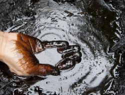 Harga Minyak Mentah Turun: Faktor, Dampak, dan Proyeksi Pasar 2024