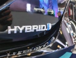 Insentif PPnBM DTP 3% Pacu Penjualan Mobil Hybrid, Toyota Capai 2.000 Unit/Bulan
