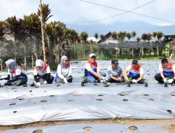 Strategi Keberlanjutan Pertamina: Dual Growth, Transisi Energi & Program TJSL