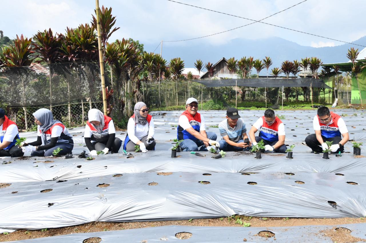 Strategi Keberlanjutan Pertamina: Dual Growth, Transisi Energi & Program TJSL