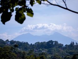 Tarif Tiket Masur Gunung Halimun Salak 2025 Turun: WNI Rp 10.000, WNA Rp 150.000