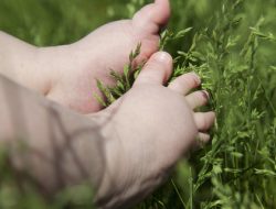 Bayi Perempuan Tewas di Sungai Taman Pancing Denpasar, Polisi Selidiki Pembuangan Bayi