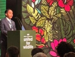 Strategi Indonesia Percepat Hutan Adat untuk Perangi Kejahatan Lingkungan