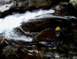 Perempuan 20 Tahun di The Breeze BSD Tangerang Selatan Diselamatkan Usai Lompat ke Sungai