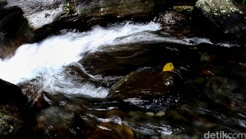 Perempuan 20 Tahun di The Breeze BSD Tangerang Selatan Diselamatkan Usai Lompat ke Sungai