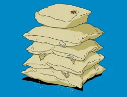 Gugatan Amran Sulaiman vs Tempo: Fakta 4 Poin PPR Dewan Pers Dijalankan dalam 1 Hari