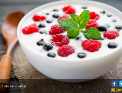 7 Manfaat Yoghurt Yunani untuk Kesehatan: Dari Protein Tinggi hingga Efek Samping