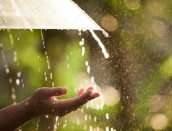 Cuaca Jakarta Hari Ini: Siang Hujan Ringan, Ini Prakiraan BMKG