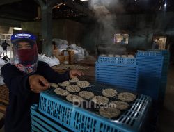 Ekonomi Indonesia Tumbuh 5,04% di Triwulan III-2025, Tertinggi Didorong Industri Pengolahan