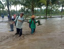 Banjir Lahar Dingin Semeru Terisolasi 300 KK di Lumajang: Jalan Putus, Akses Terputus