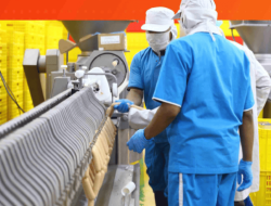 Siapa Pemilik Saham BEEF? Profil Lengkap dan Struktur Kepemilikan PT Estetika Tata Tiara Tbk