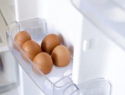 Pelapis Telur Alami dari Daun Mangga, Inovasi UMM untuk Awetkan Telur Tanpa Bahan Kimia