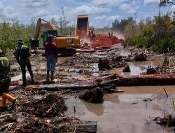 Vincent Kwipalo Laporkan PT MNM ke Mabes Polri: Kronologi Konflik Lahan Adat di Merauke