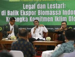 Industri Wood Pellet Indonesia: Legal & Berkelanjutan dengan SVLK