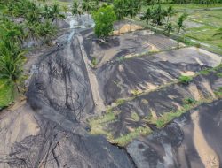 Banjir Lahar Dingin Semeru Landa Lumajang, 30 Hektar Lahan Pertanian Hancur