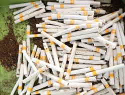 Bea Cukai Tembus Rp 221,3 Triliun di 2025, Ungkap Strategi dan Capaian Pengawasan