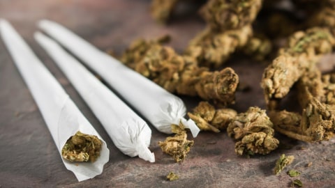 BNN dan Polisi Gerebek Kampung Ambon, Puluhan Ditangkap dan Ganja Disita