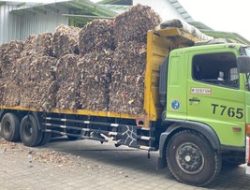 Banyuwangi Sukses Olad Sampah Plastik Jadi Bahan Bakar RDF, Begini Caranya