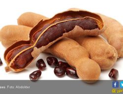 7 Manfaat Asam Jawa untuk Kesehatan: Turunkan Berat Badan & Jaga Jantung