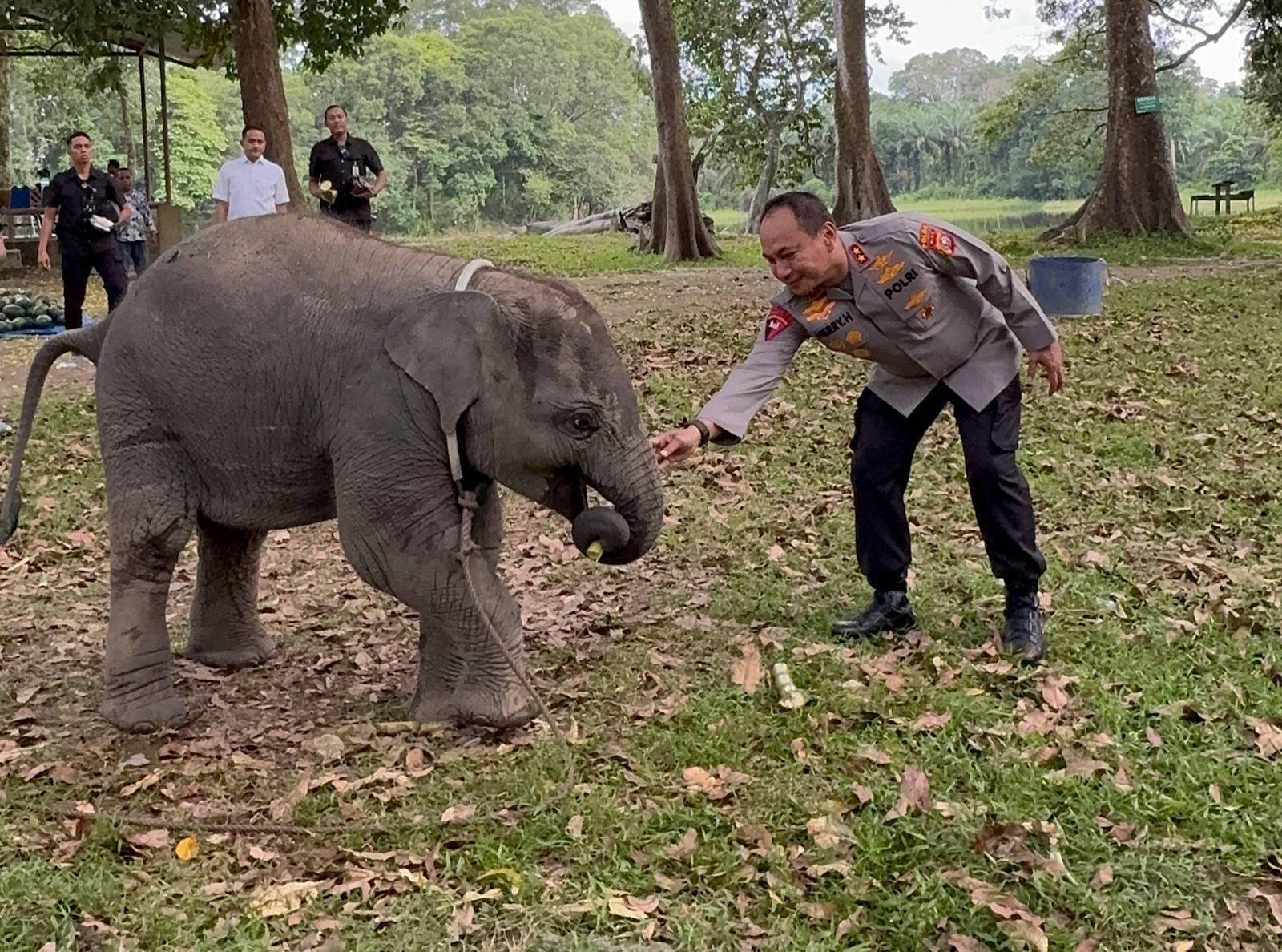 Green Policing Polda Riau: Patroli & Dukung Konservasi Gajah Sumatera di TWA Buluh Cina