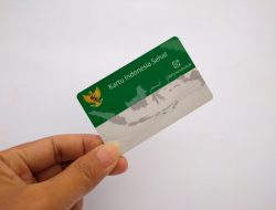 Lonjakan Kasus DBD 2024 Tembus 1 Juta, BPJS Keluarkan Klaim Rp 2,9 Triliun