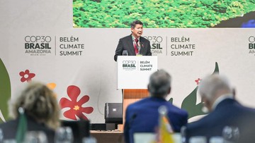 Indonesia Komitmen Rp 16,7 Triliun Pulihkan Hutan Tropis, Dukung Program TFFF