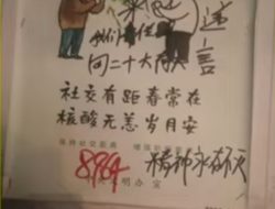 Biaya APBN untuk Kereta Cepat Whoosh: Tanggung Jawab & Dampaknya