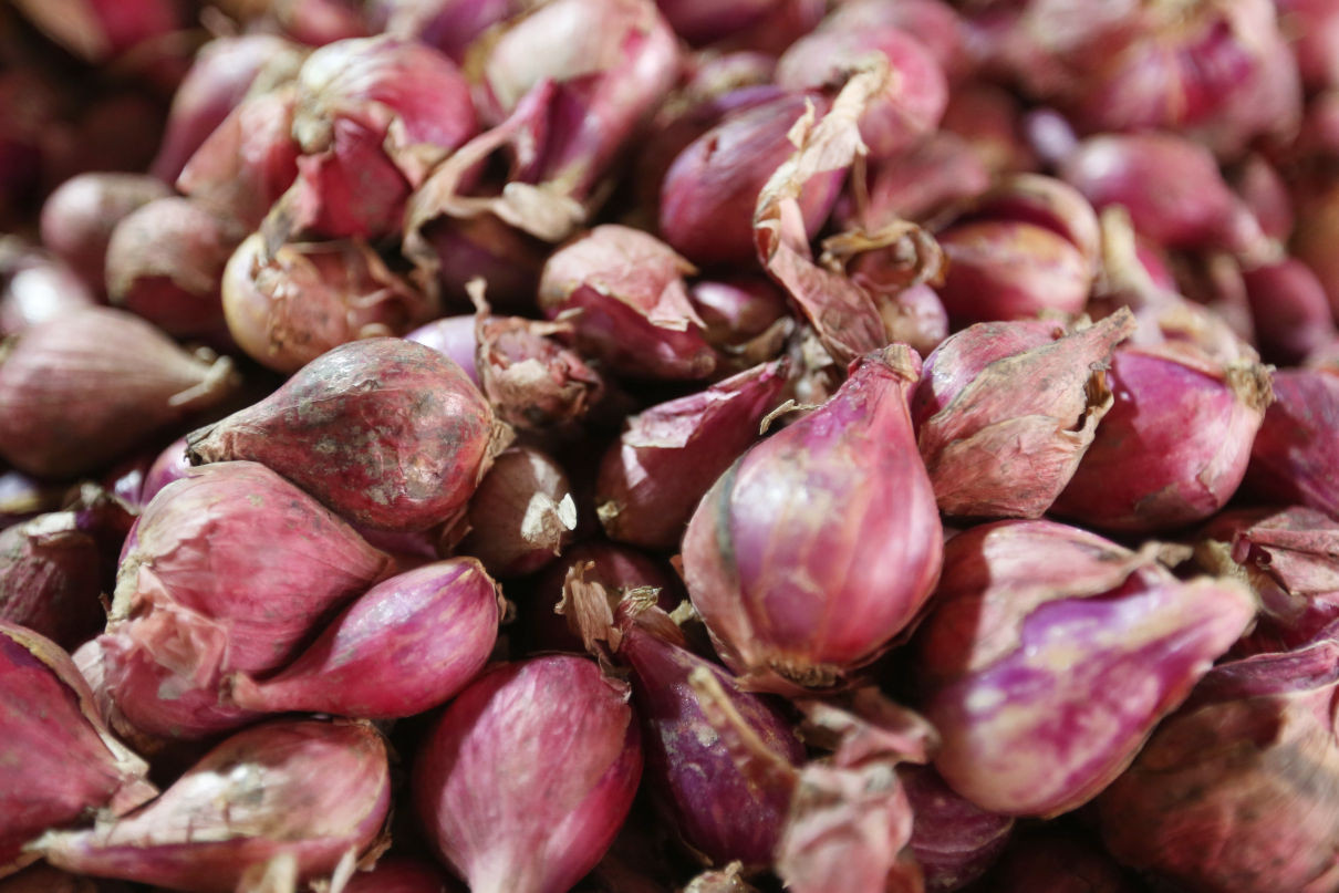 5 Manfaat Bawang Merah untuk Kesehatan: Meningkatkan Imun hingga Cegah Kanker