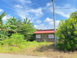 PHK Massal PT GKP: 500 Karyawan di Pulau Wawonii Kena PHK, Dampaknya pada Ekonomi Lokal