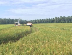 Reforma Agraria: Solusi Pemerintah Atasi Kemiskinan dengan Tanah