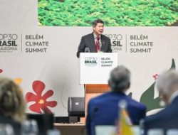 Laju Deforestasi Indonesia Turun 75%, Level Terendah dalam 20 Tahun