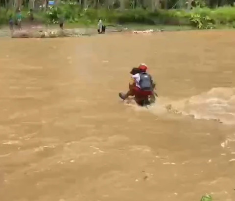 Perjuangan Siswa SD di Maluku Utara Menyeberangi Sungai Deras Demi Sekolah, Kondisinya Memprihatinkan