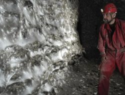 Koloni Laba-Laba Raksasa Ditemukan di Gua Albania-Yunani, Jaringnya Capai 106 Meter Persegi