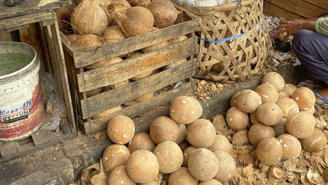 Targetkan Harga Kelapa Rp 6.000 per Butir, Mentan Genjot Hilirisasi