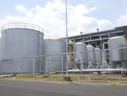 Biofuel: Solusi Kemandirian Energi Indonesia Menurut Puskep UI