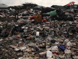 9 TPS Liar di Jakarta Barat Ditutup, Lahan Dikonversi jadi Urban Farming