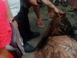 Pelajar SMP Tewas Tenggelam di DAM Subak Tegan Badung: Kronologi & Peringatan Bahaya