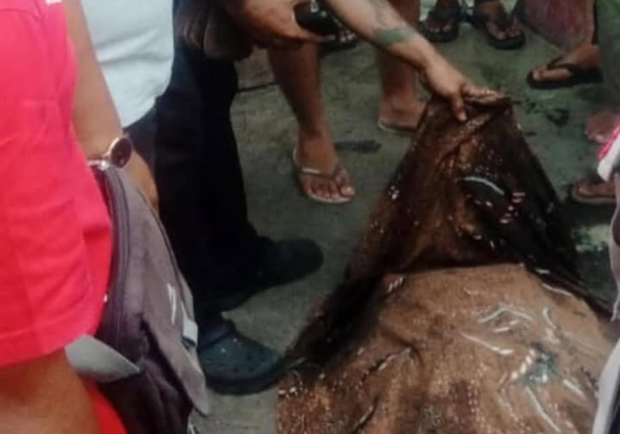 Pelajar SMP Tewas Tenggelam di DAM Subak Tegan Badung: Kronologi & Peringatan Bahaya