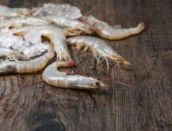 Ekspor Udang Indonesia ke AS Tembus USD 1,39 Miliar, Naik 16,3% di 2025